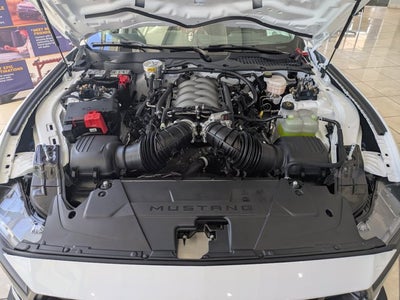 2025 Ford Mustang Dark Horse R