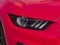 2019 Ford Mustang Shelby GT350