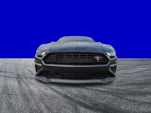 2022 Ford Mustang EcoBoost