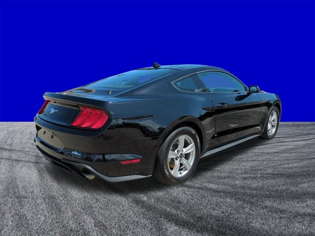 2023 Ford Mustang EcoBoost