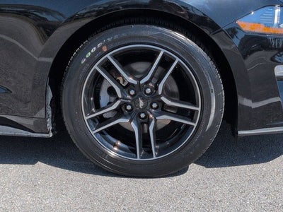 2023 Ford Mustang EcoBoost