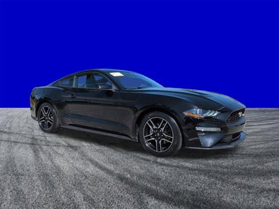 2023 Ford Mustang EcoBoost