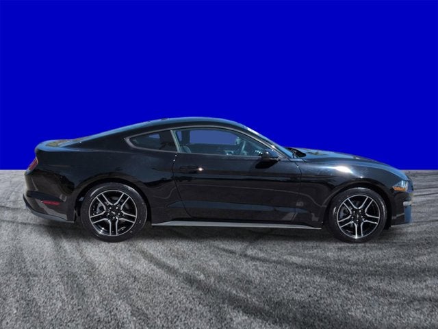 2023 Ford Mustang EcoBoost