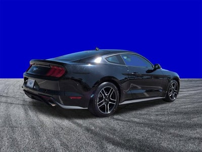 2023 Ford Mustang EcoBoost