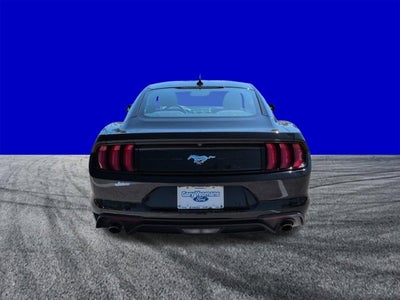 2023 Ford Mustang EcoBoost