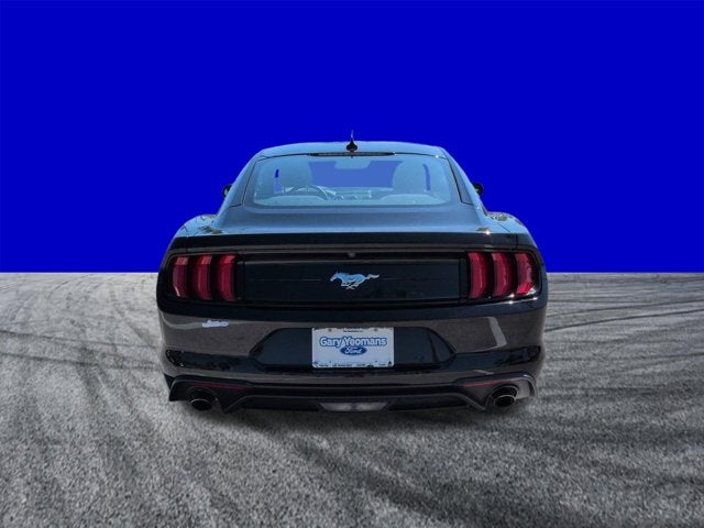 2023 Ford Mustang EcoBoost