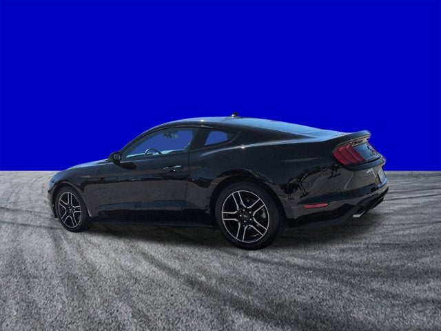2023 Ford Mustang EcoBoost
