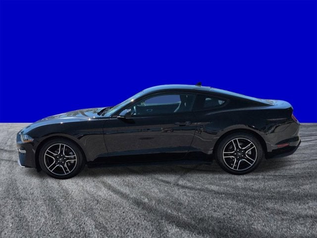 2023 Ford Mustang EcoBoost