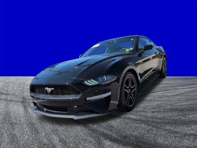 2023 Ford Mustang EcoBoost