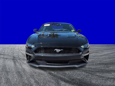 2023 Ford Mustang EcoBoost