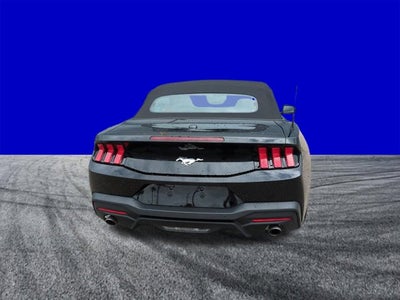 2025 Ford Mustang EcoBoost