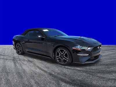 2019 Ford Mustang EcoBoost Premium