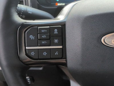 2025 Ford Super Duty F-350 SRW Pickup Platinum