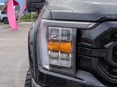 2023 Ford F-150 XLT SHERROD
