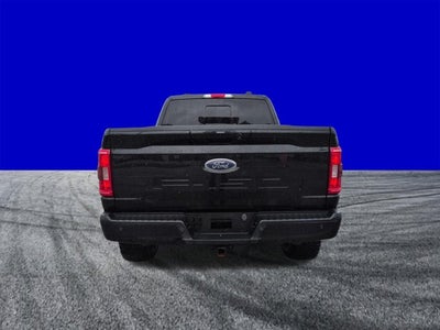 2023 Ford F-150 XLT SHERROD
