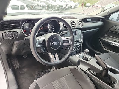 2023 Ford Mustang EcoBoost