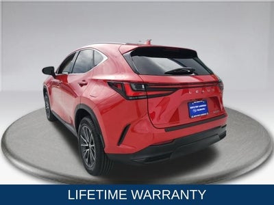 2024 Lexus NX 250 250 Base