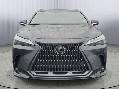 2025 Lexus NX NX 250 Premium