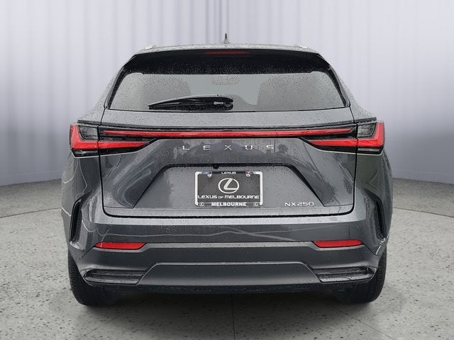 2025 Lexus NX NX 250 Premium