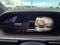 2022 Tesla Model X Base