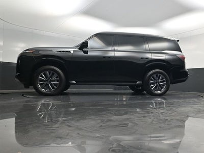 2025 INFINITI QX80 PURE