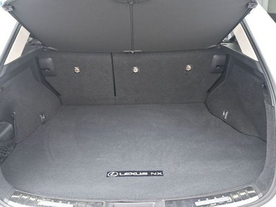 2024 Lexus NX 250 Premium