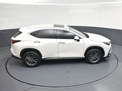 2024 Lexus NX 250 Premium