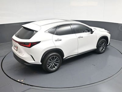 2024 Lexus NX 250 Premium