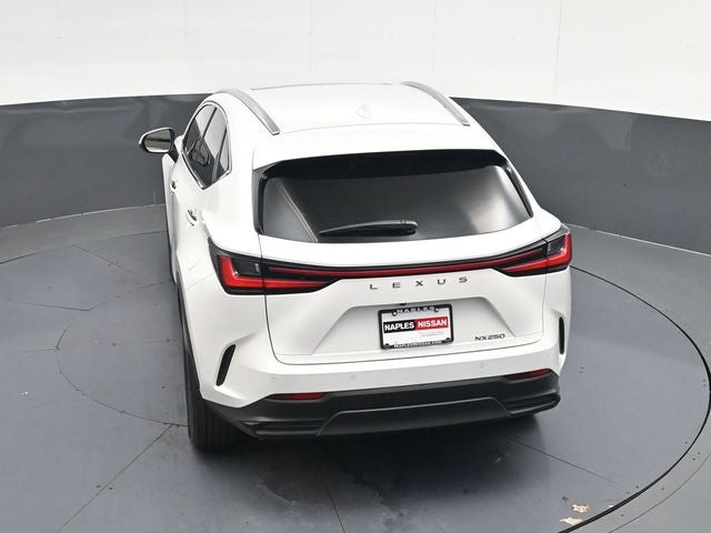 2024 Lexus NX 250 Premium