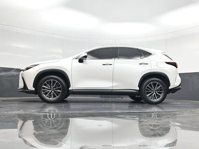 2024 Lexus NX 250 Premium