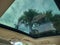 2022 Audi Q5 45 S line Premium Plus